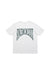 tee shirts