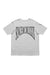 BOX T - SINCE IN GREY