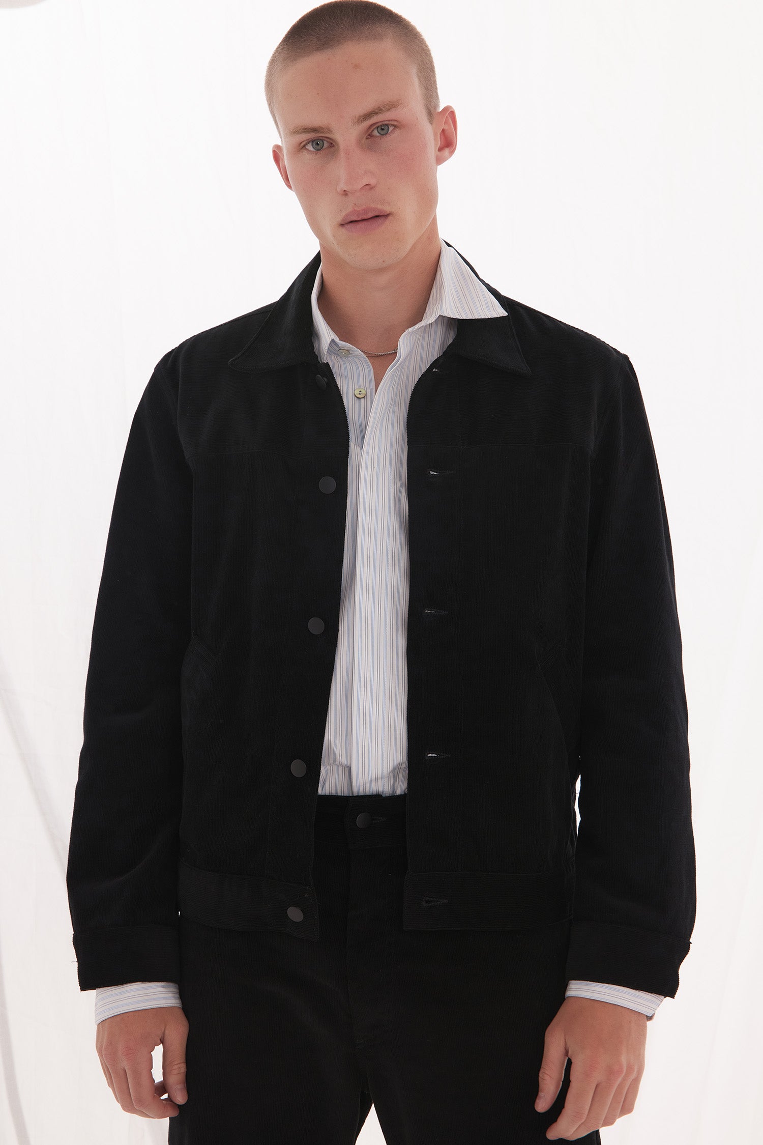 ORLANDO IN VELVETEEN, W25