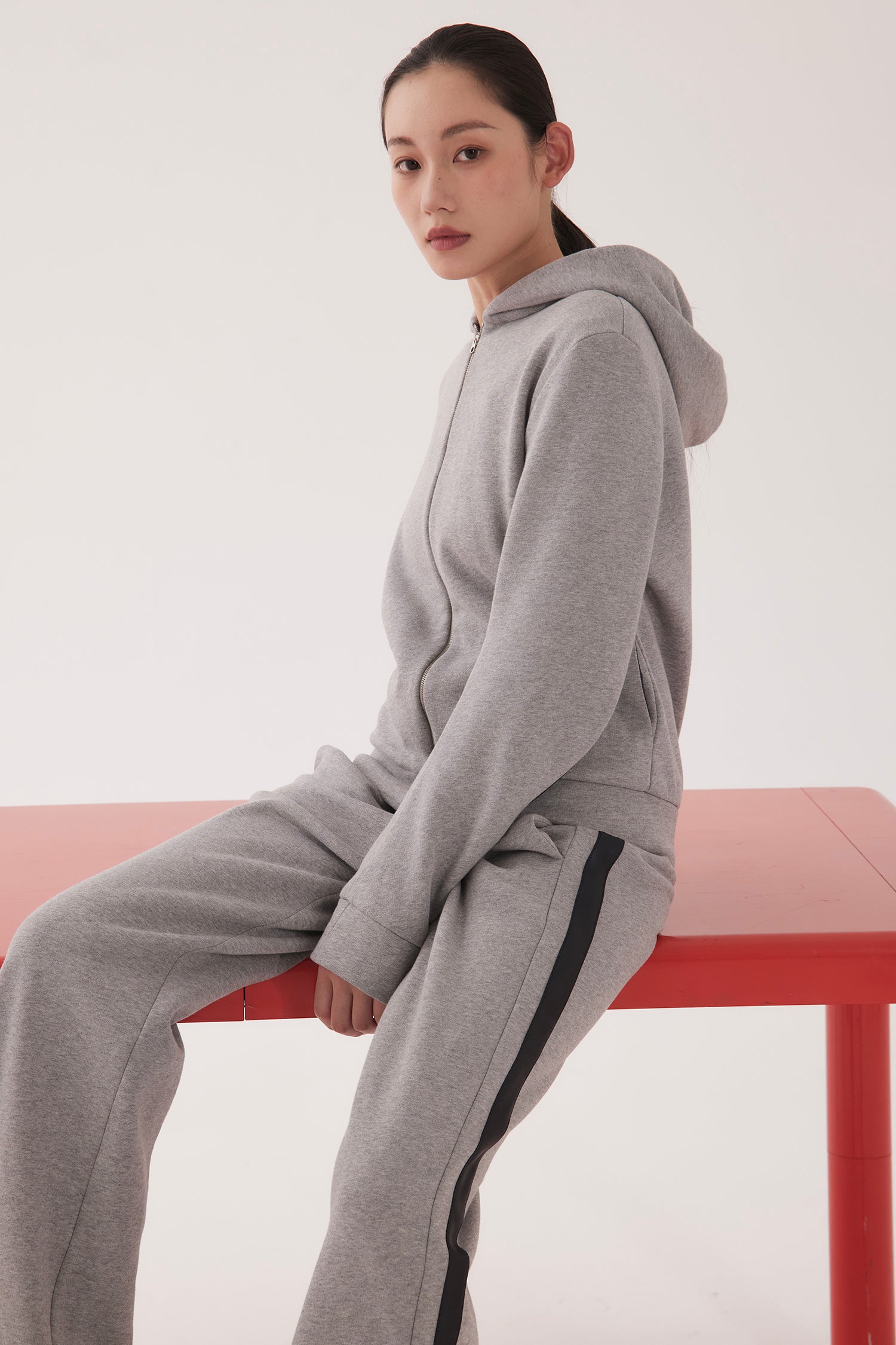 ZIP HOODIE IN CEMENT, W25