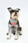 DOG BANDANA