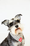 DOG BANDANA