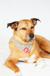 DOG BANDANA