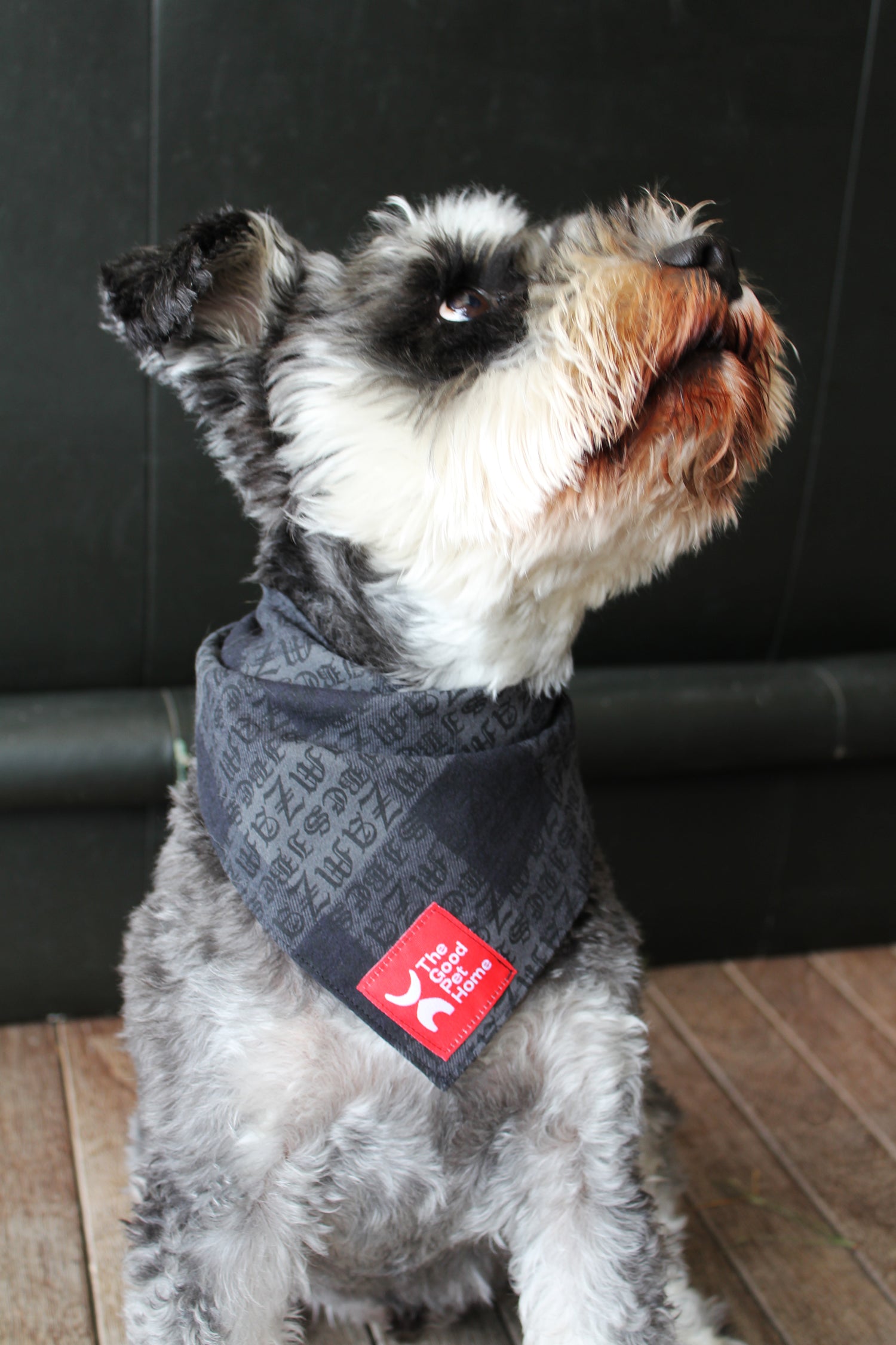 DOG BANDANA (A)