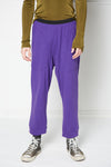 JOGGER PANT IN PURPLE, W22